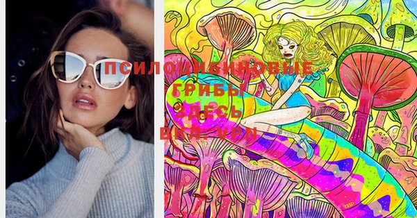 прущая мука Аркадак