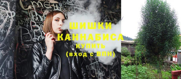 дурь Горняк
