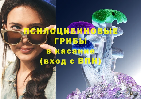прущая мука Аркадак