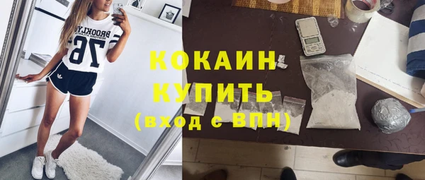 apvp Дмитров