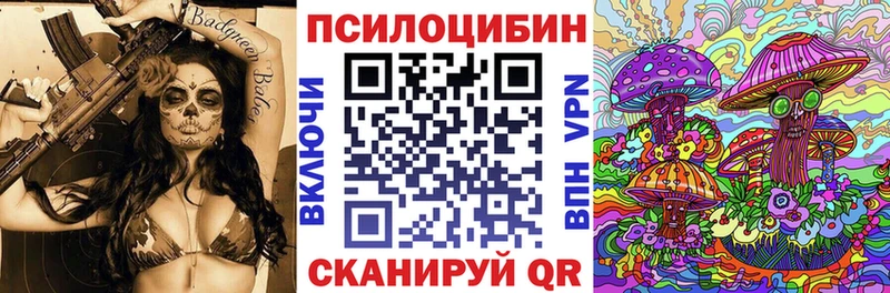 маркетплейс как зайти  закладка  blacksprut онион  Павловск  Псилоцибиновые грибы прущие грибы 